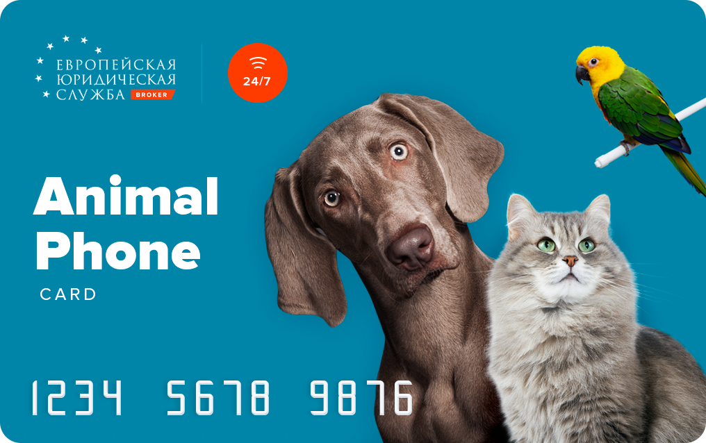 Карта ANIMAL PHONE